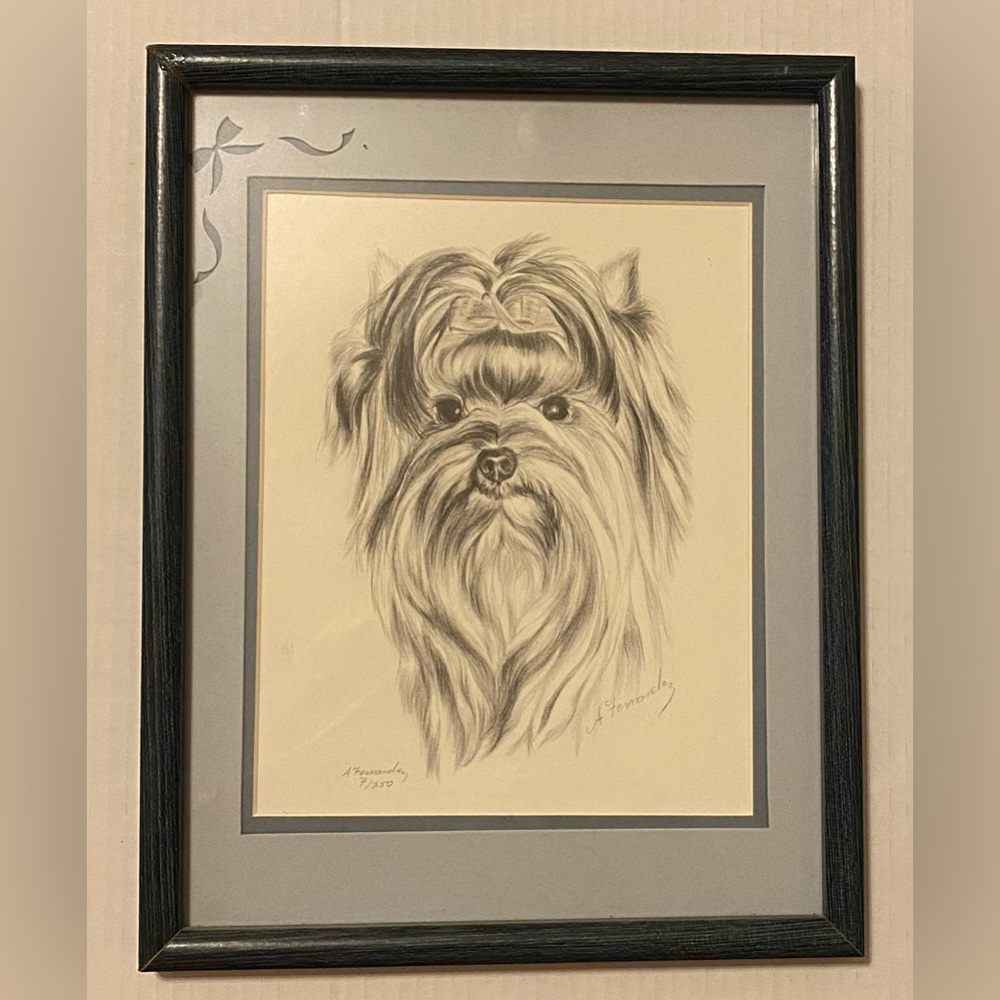 A. Fernandez Signed Yorkshire Terrier Yorkie Pencil Drawing 7/250  10.5x13.5”